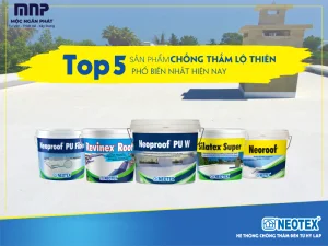 TOP 5 SẢN PHẨM CHỐNG THẤM LỘ THIÊN PHỔ BIẾN NHẤT HIỆN NAY