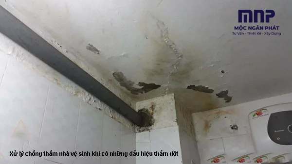 toilet-waterproofing-02