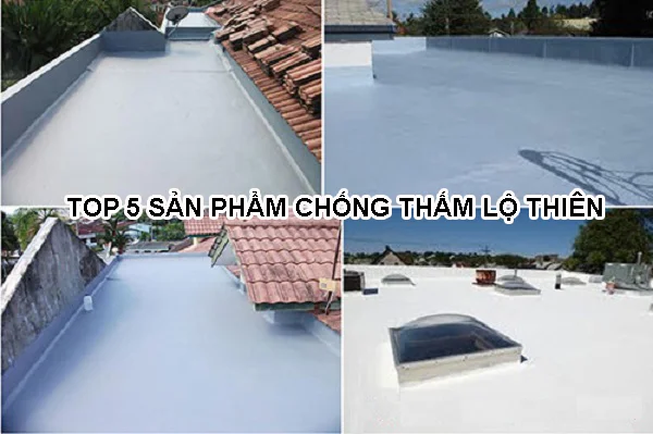 top-5-sp-chong-tham-lo-thien-01